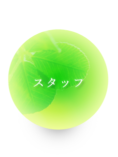 スタッフ